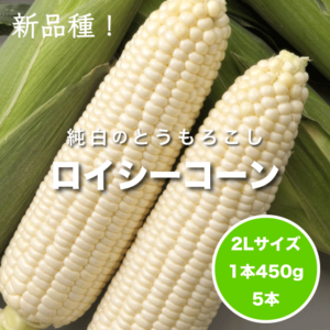 とうもろこしロイシーコーン450g 5本