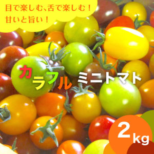 ミニトマト