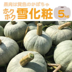 雪化粧かぼちゃはホクホク