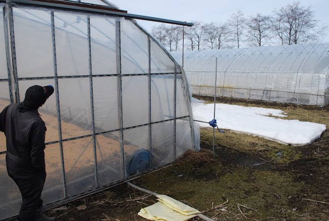 菊池農園アスパラハウス